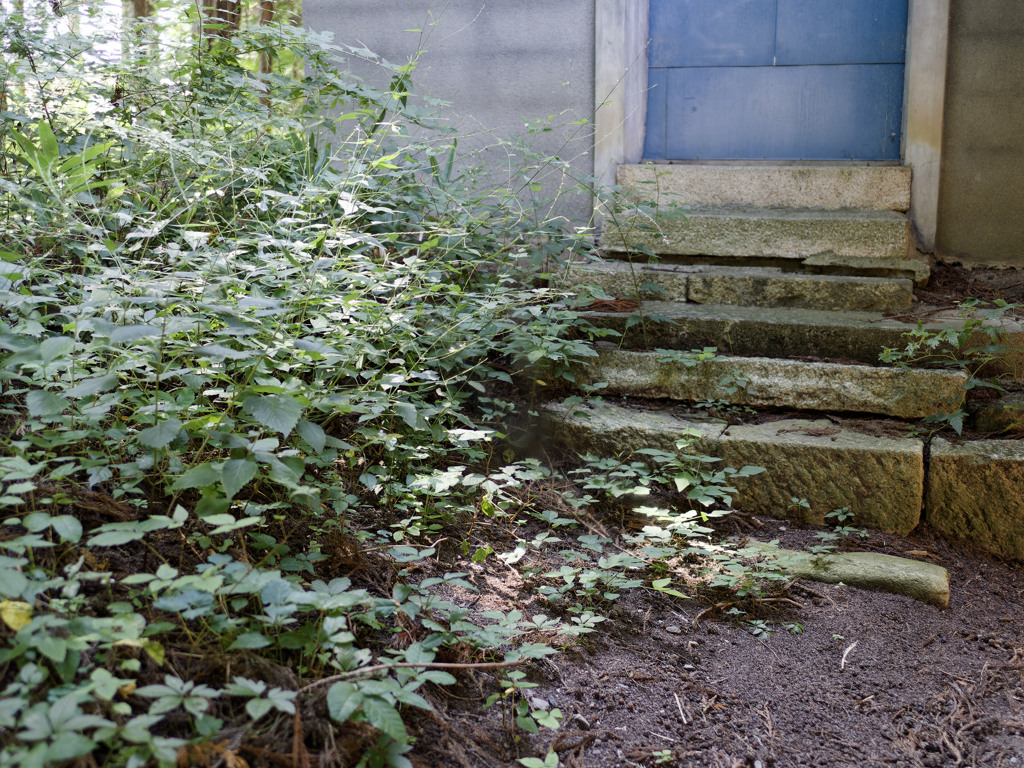 すずしい神社シリーズ