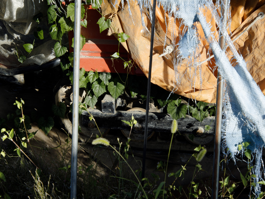 つるキャタピラ