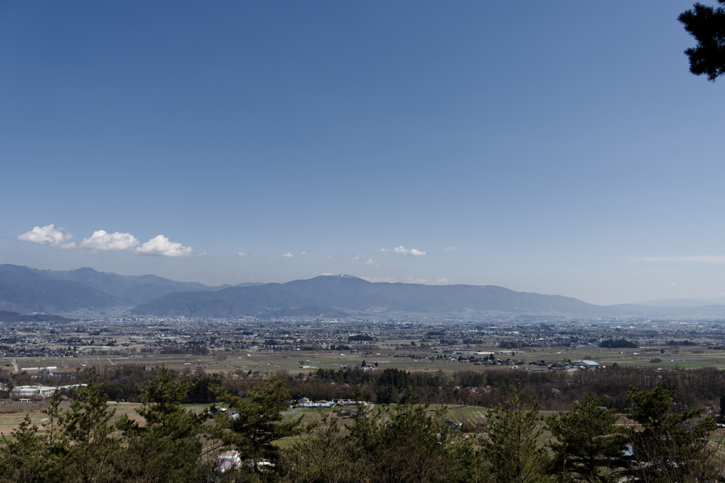 久しぶりに天気の良い週末