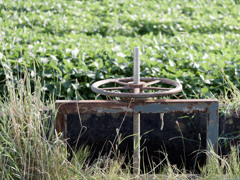 おなじみハンドル