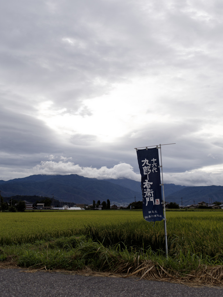 SAKEの気配