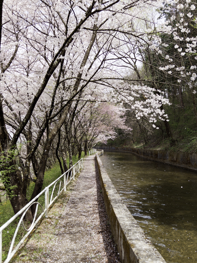 ちりまくり