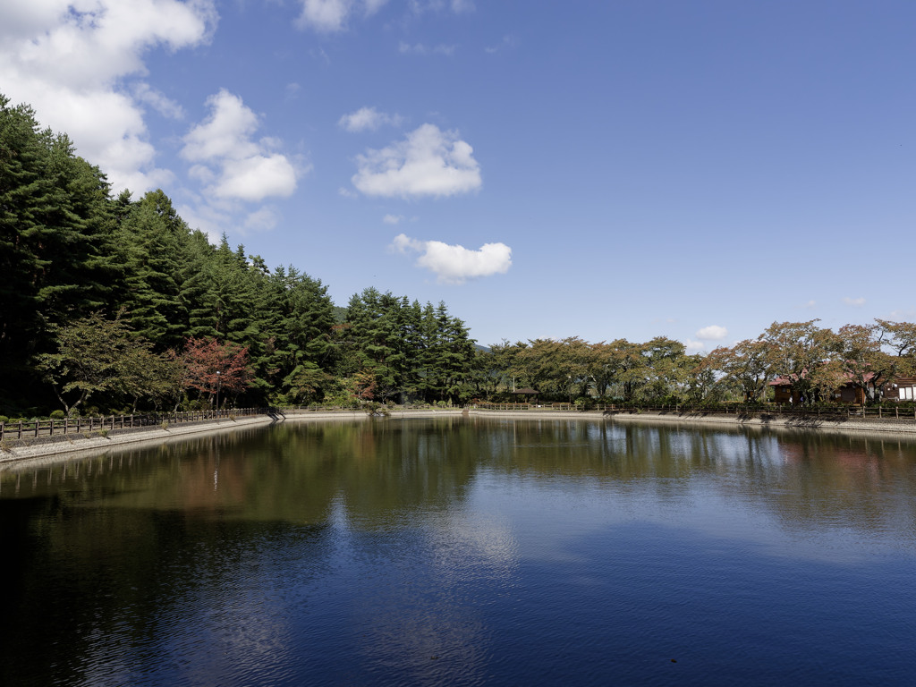 秋晴れ of 秋晴れ