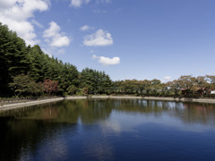 秋晴れ of 秋晴れ