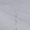 あしあと