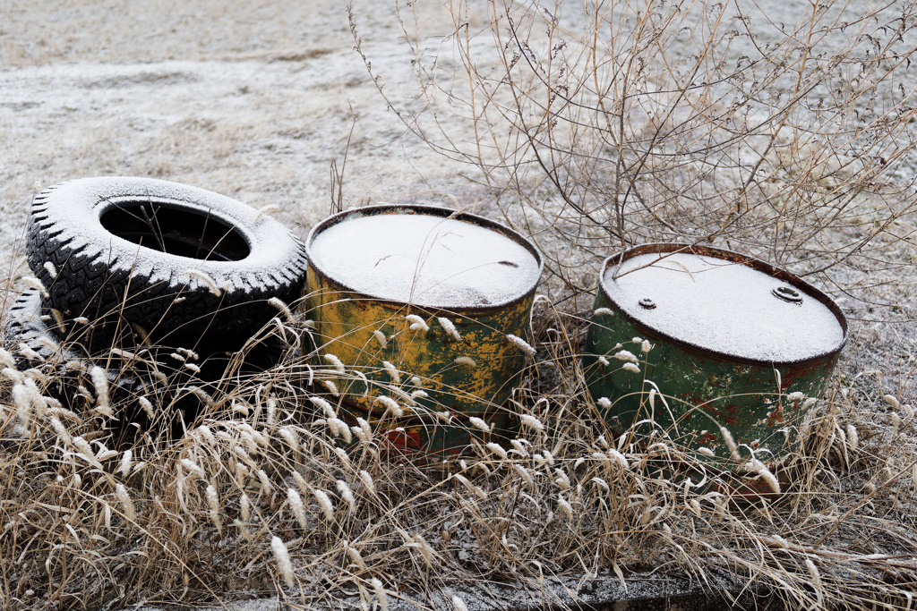 ｳｨﾝﾀｰﾄﾞﾗﾑｽﾞ