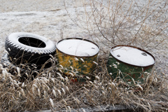 ｳｨﾝﾀｰﾄﾞﾗﾑｽﾞ