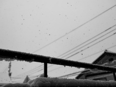 雪でございます