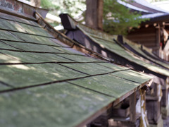 すずしい神社シリーズ