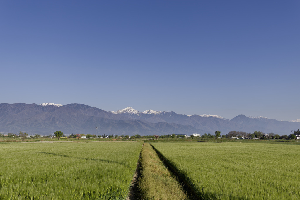 さわやかプロシージャ
