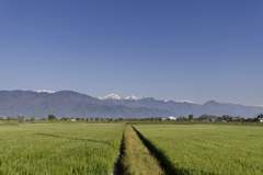 さわやかプロシージャ