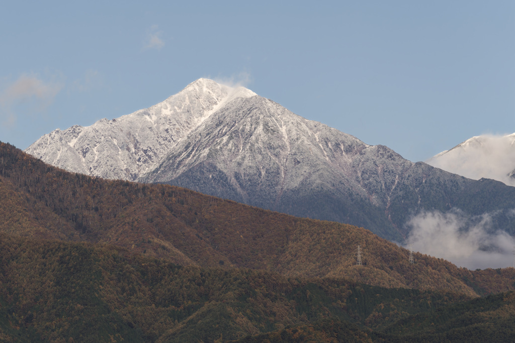 今年も現れたやましろ