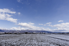 久しぶりのお天気よっしーくん
