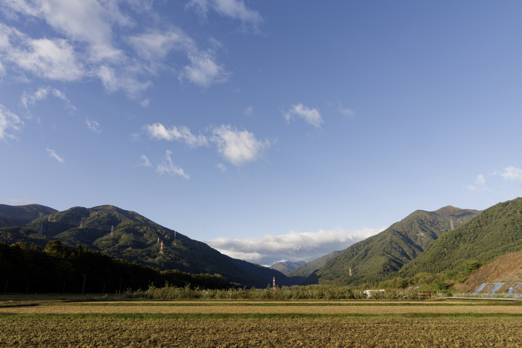さわやか同好会™