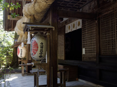 近所の神社を探検