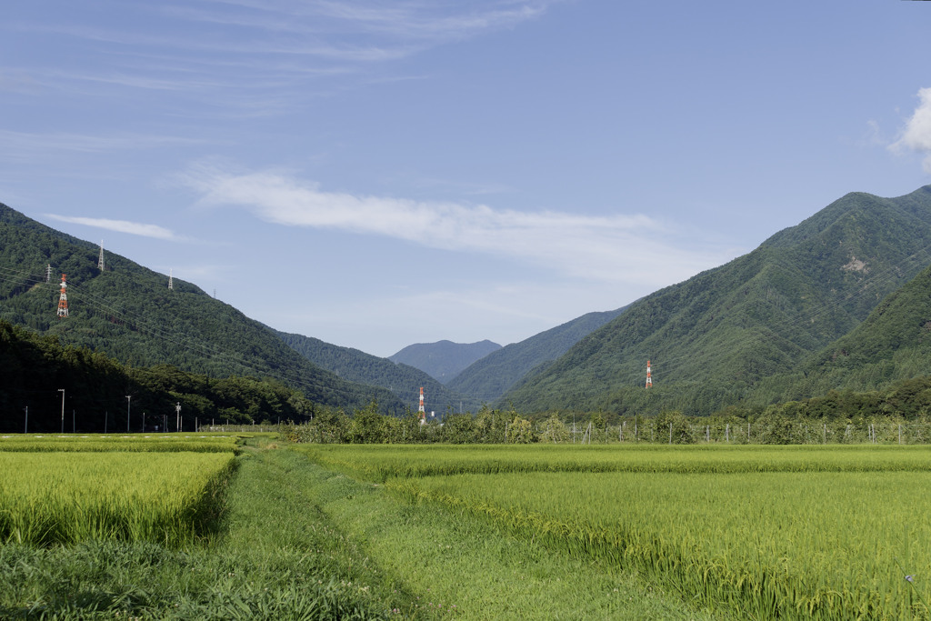 さわやか谷間ホールディングス