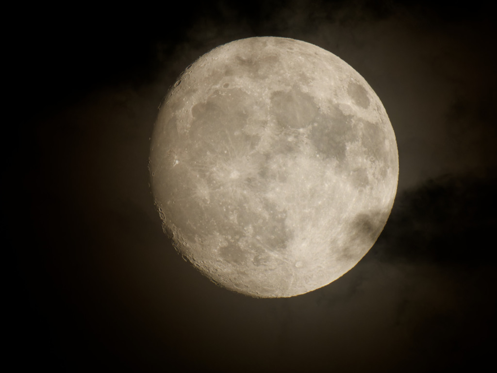 久しぶりに月が出た