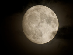 久しぶりに月が出た