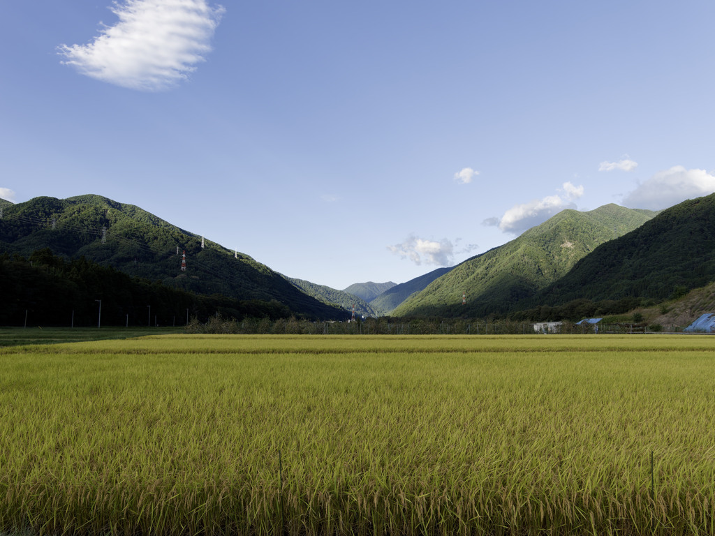 さわやかデイズ