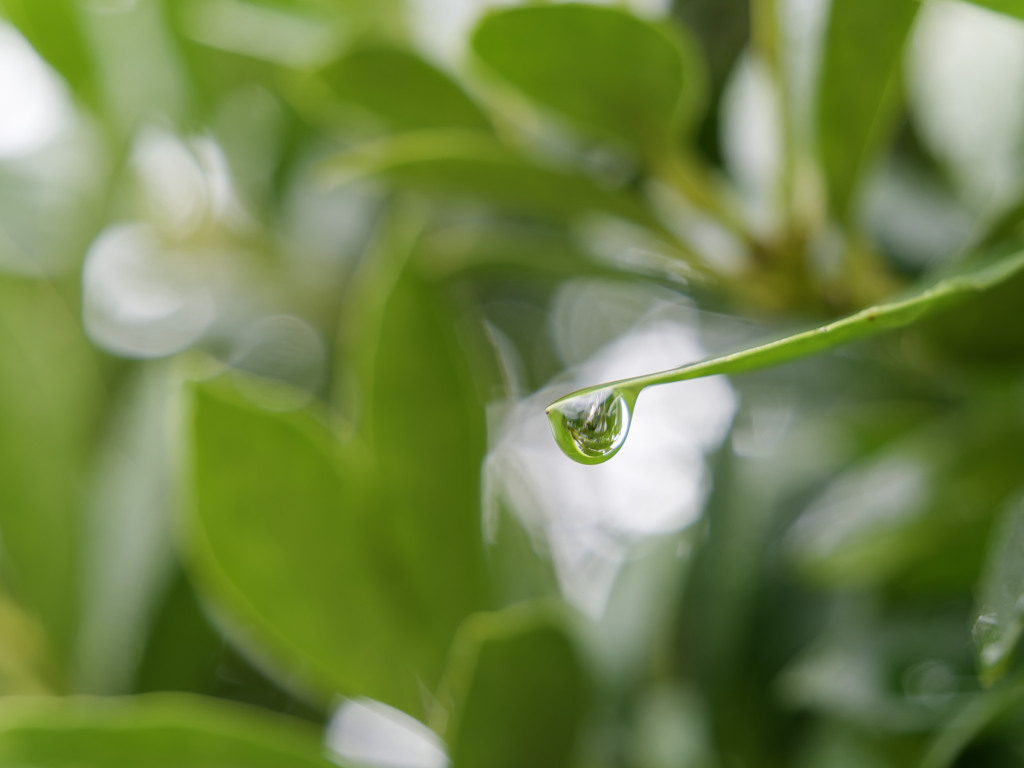 雨しずくぷるぷるシリーズ