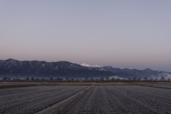あさｸﾞﾗﾃﾞやまさん