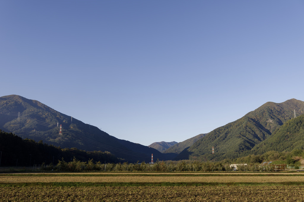 初冬モーニング感