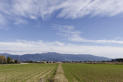 スーパーさわやか™