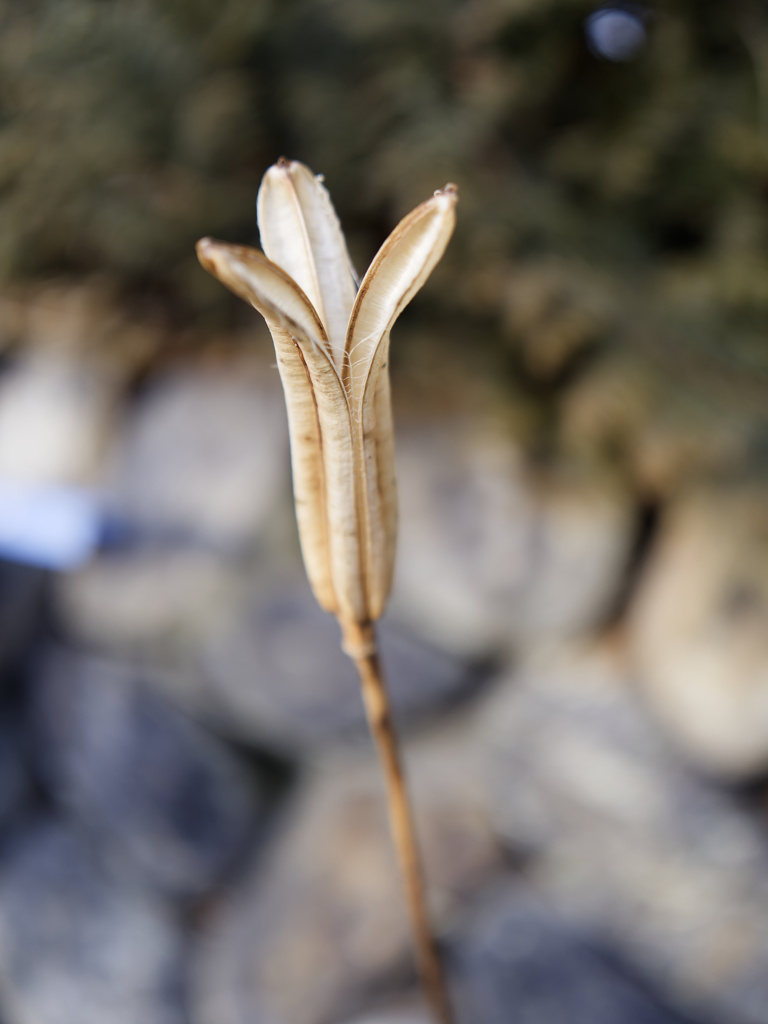からっぽの存在感