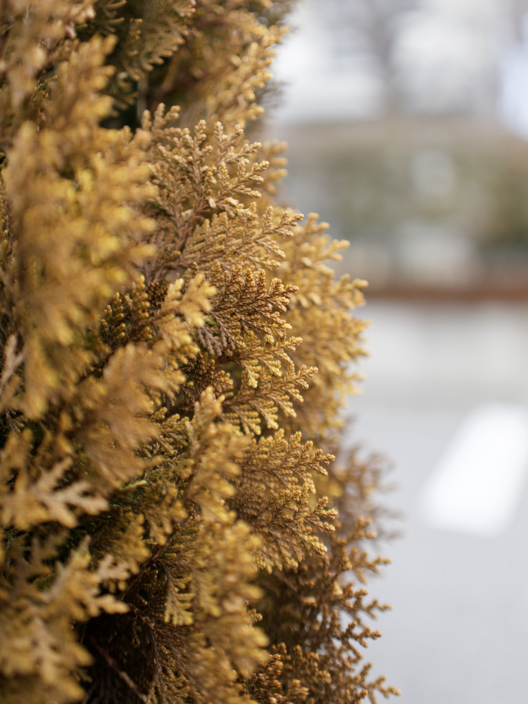 金のグラデーション