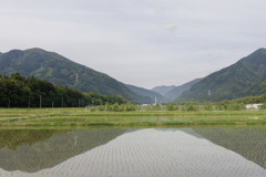 近所の田植えがほぼ完了