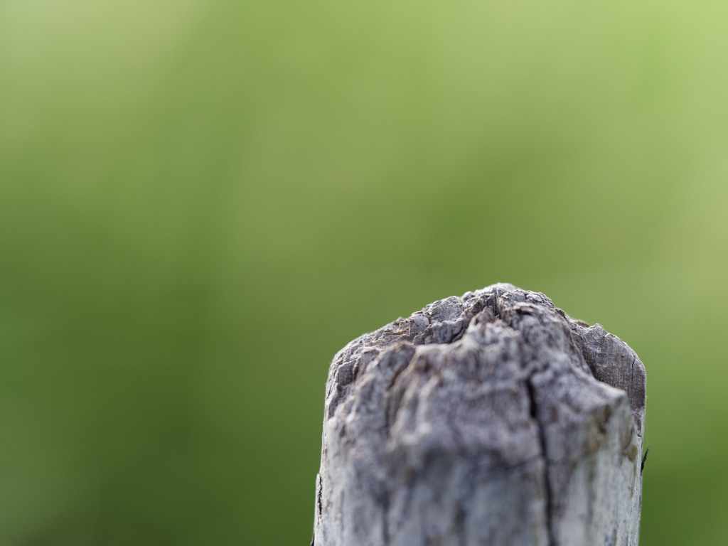トンボ撮影あるあるシリーズ