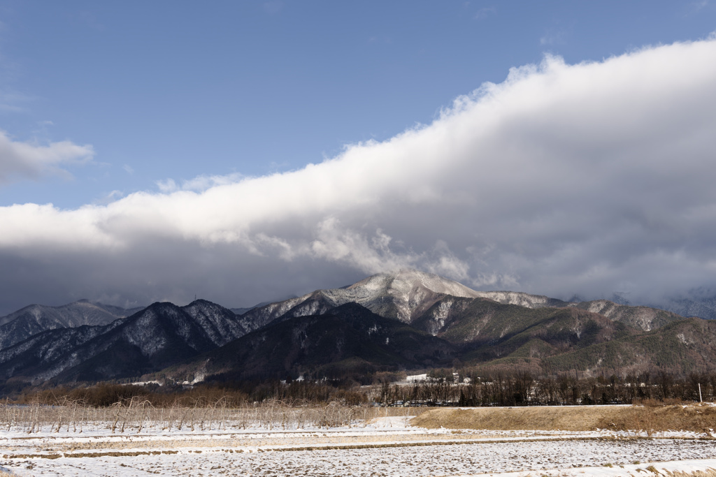 さわやかモーニング