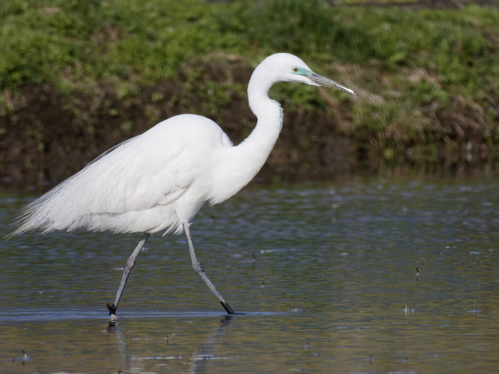 ターコイズブルーのアイシャドウ（春の愛されコーデ）