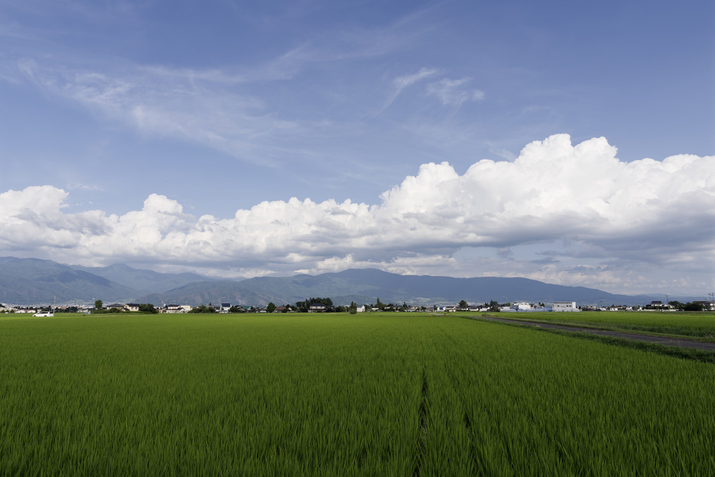 完全に夏