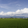 完全に夏