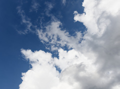 青白空