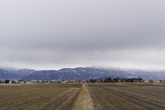 どんよりデイズ