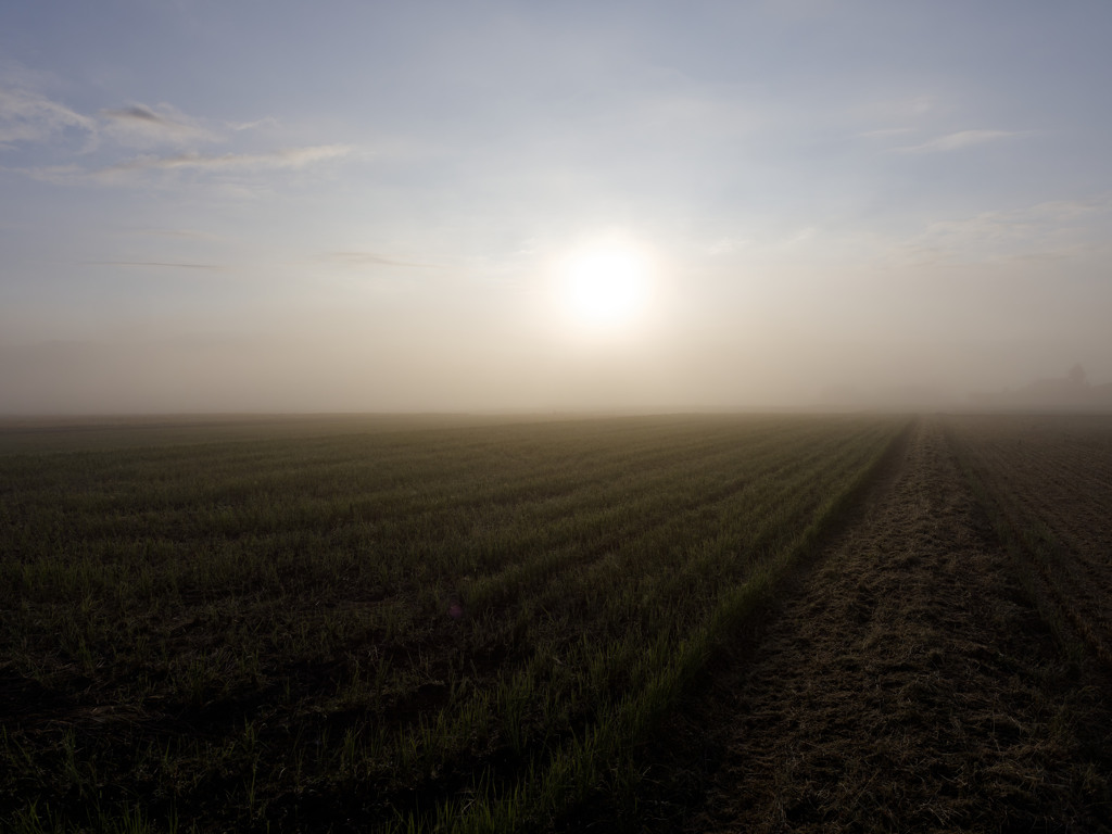 ごりむちゅ〜になってきた