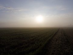 ごりむちゅ〜になってきた