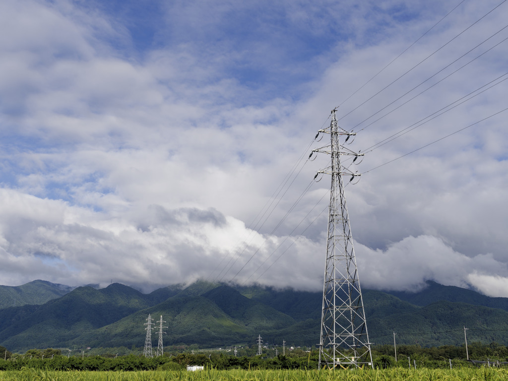 台風ファミリー