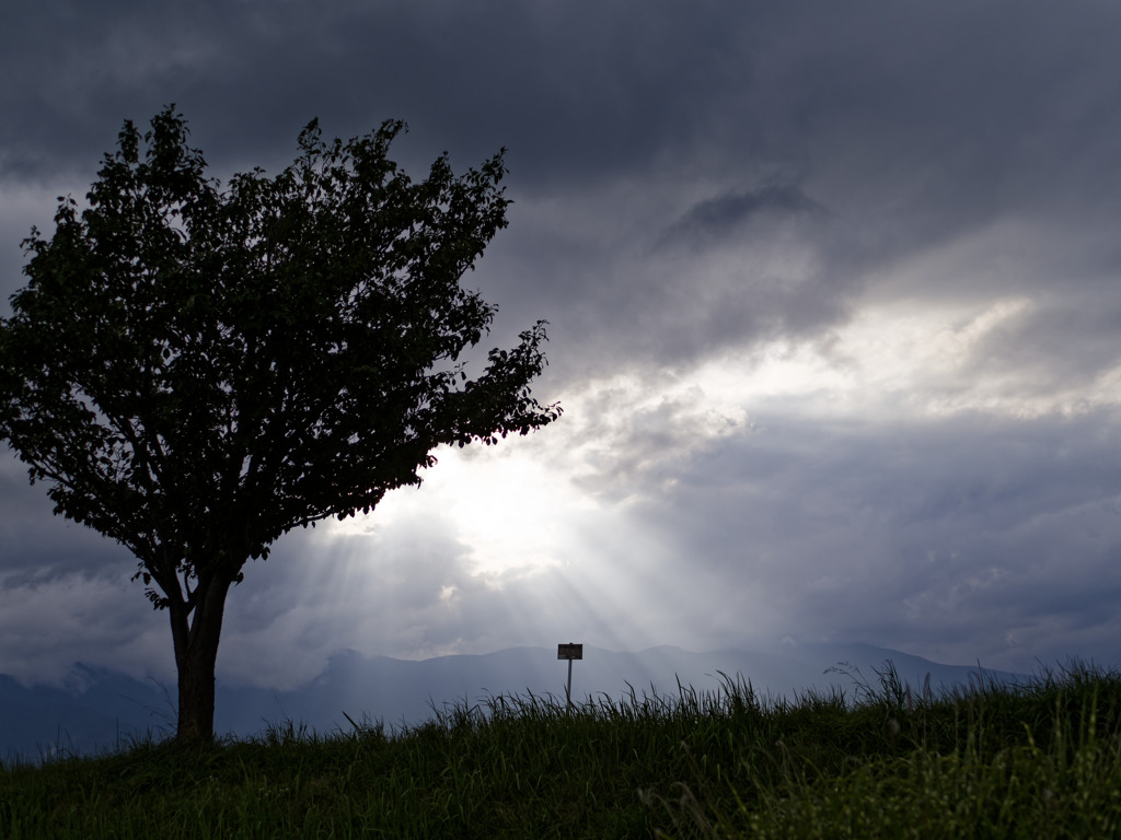 ゲリラ豪雨の予感