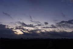 紫立ちたる雲の細くたなびきたるシリーズ