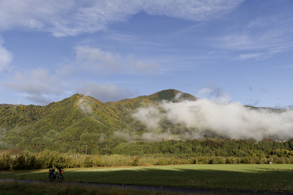 隠しきれない紅葉の気配