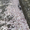 ちりまくり
