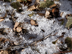 あられころころ現象