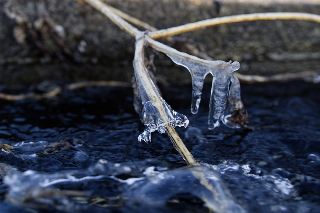 氷のさや