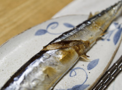 今年もう15回は食べたサンマ