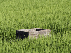 謎穴