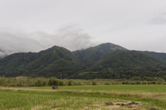 今朝は気温8℃ 今朝は気温8℃