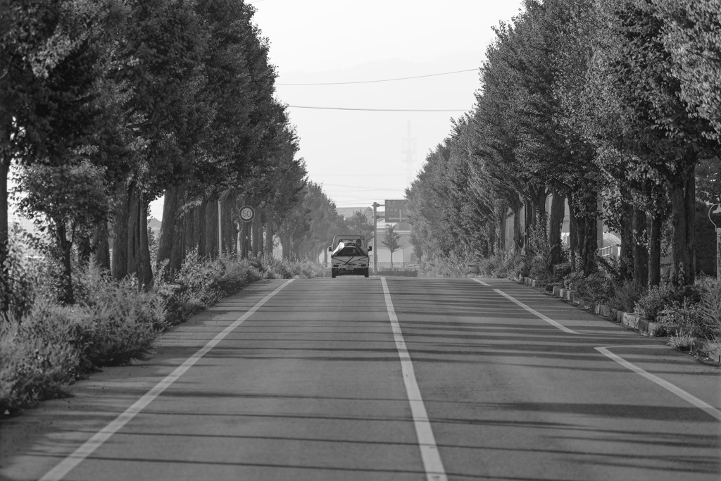 INAKA MORNING ROAD
